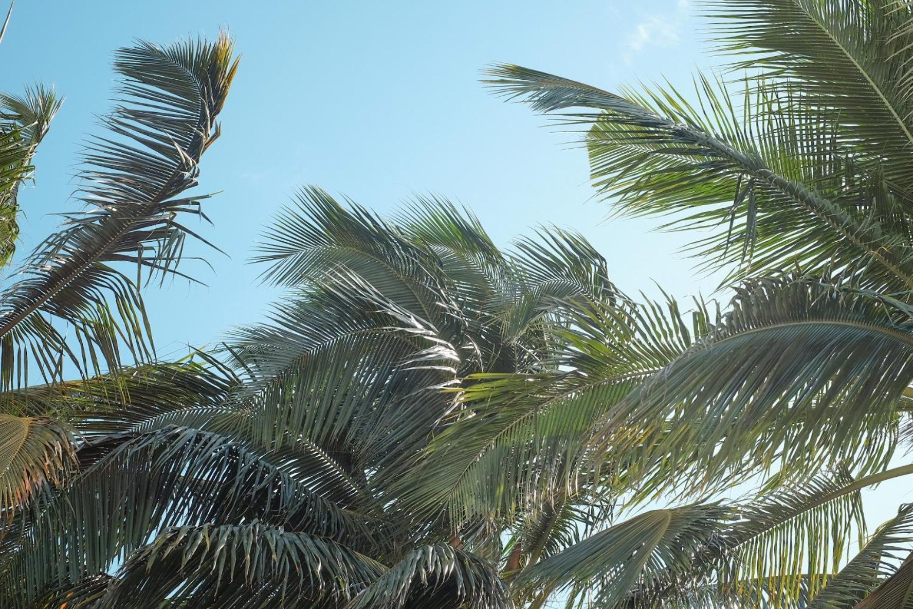 Chic Home With Private Pool, 1 Min To Beach Cap Malheureux Esterno foto
